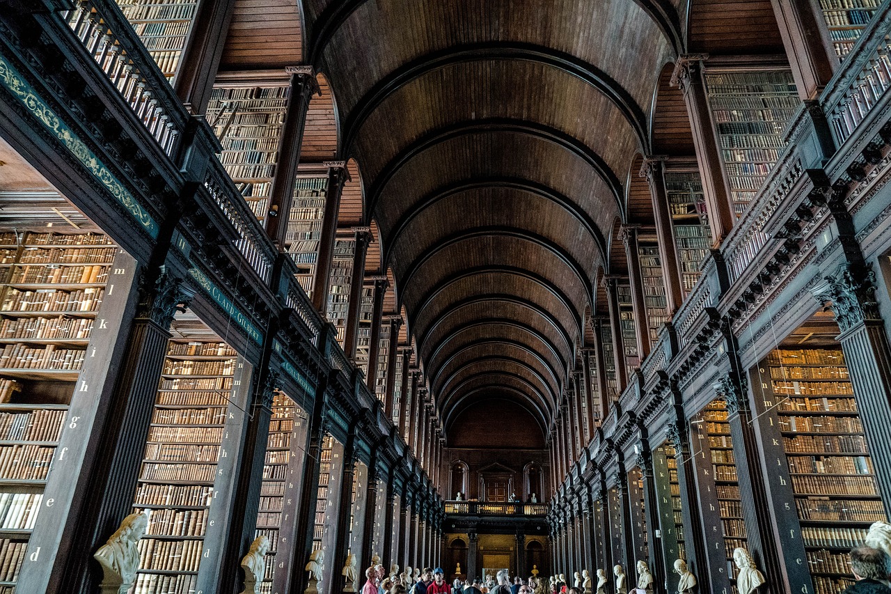 library, books, dublin-2507902.jpg